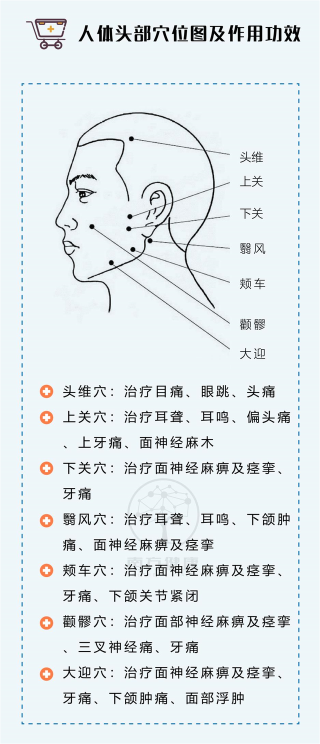 人体头部穴位图及作用功效